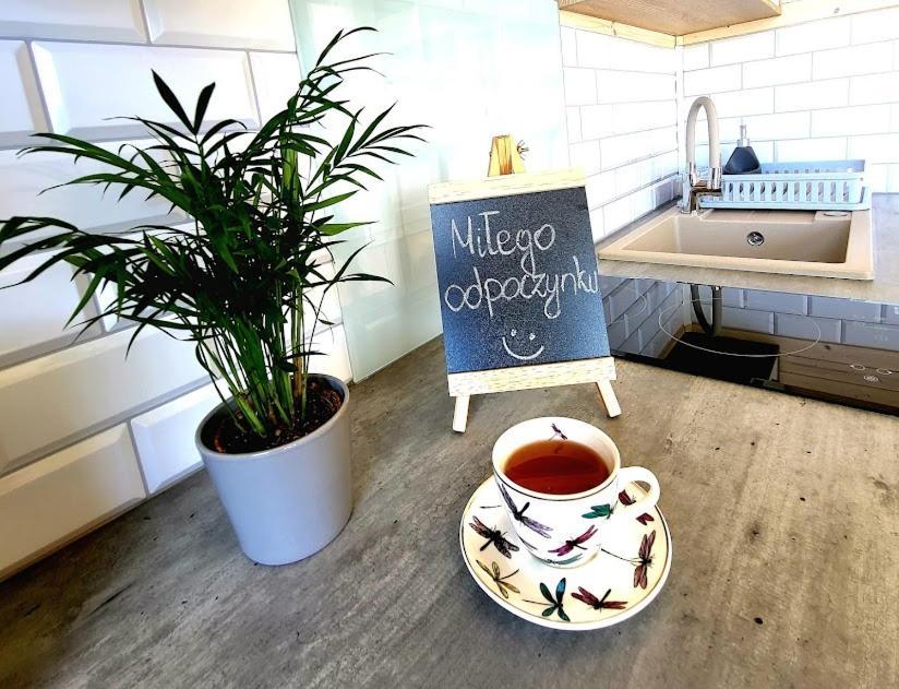 Domki Apartamentowe Rozgwiazdy 20 ยารอสวาเวียซ ภายนอก รูปภาพ